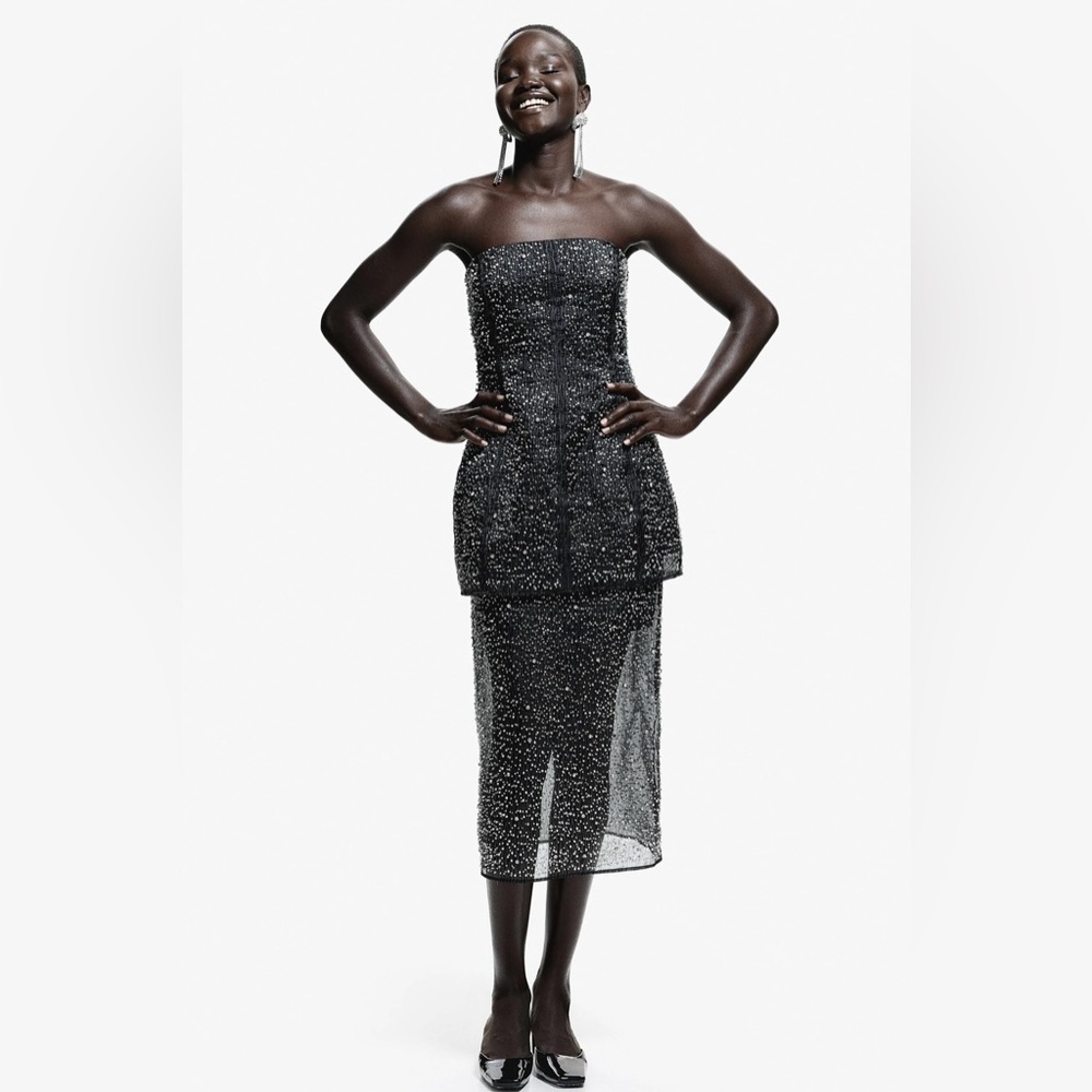 H&M Collection Limited edition Embellished Beaded Organza Midi Skirt Size 12 US